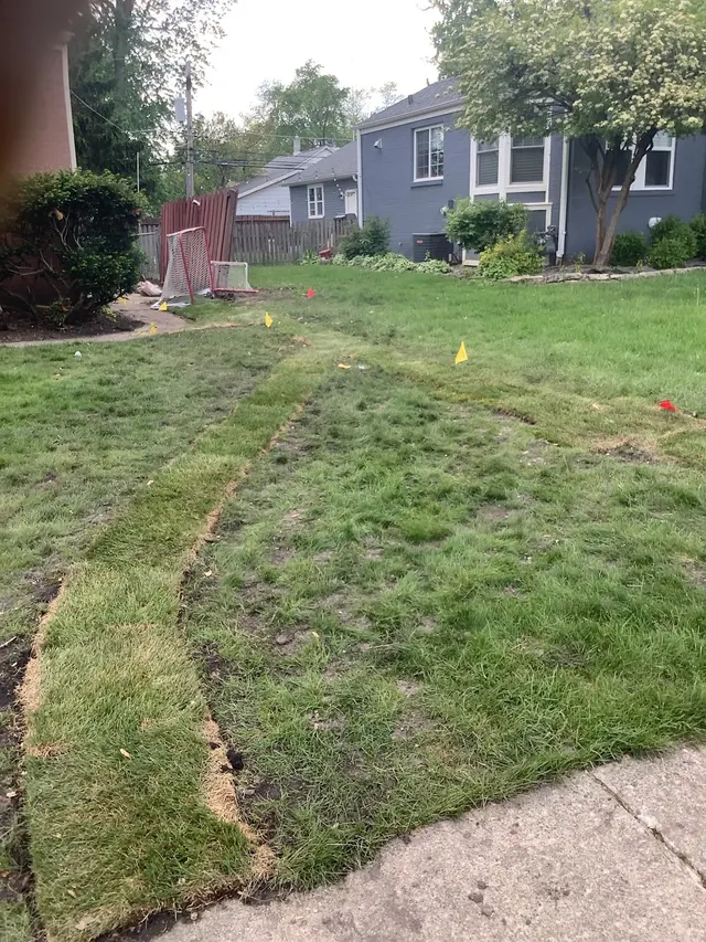 Customer photo from Richard's review