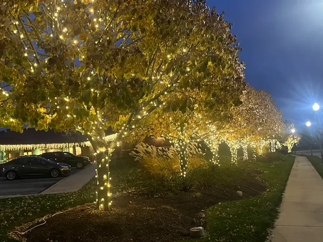 Tommy Pollina Landscape Company — photo from the business 8
