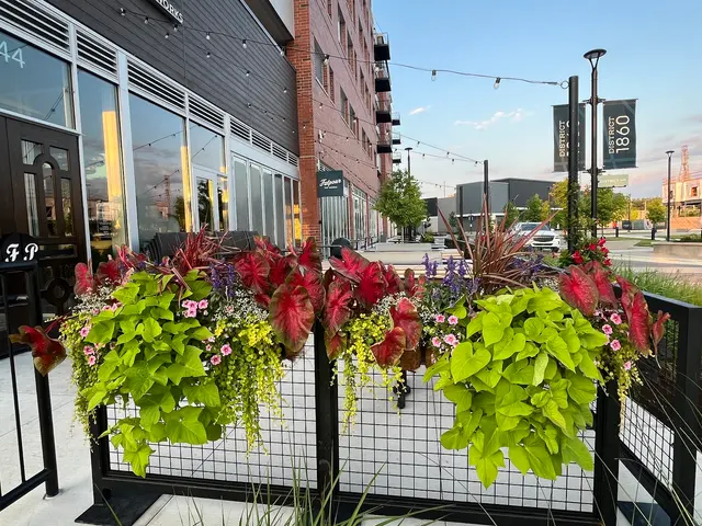 Tommy Pollina Landscape Company — photo from the business 5