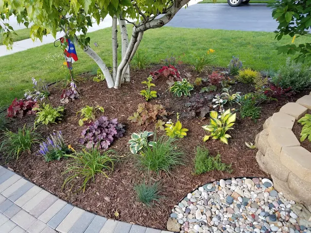 Revive Your Lawn & Trimlight Chicago — photo from the business 5