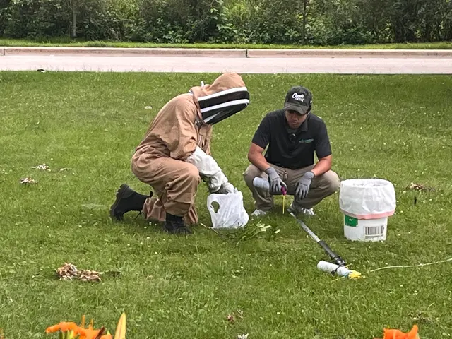 Supreme Pest Solutions — customer photo 2