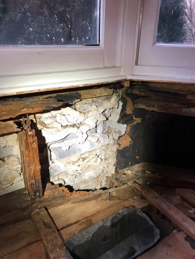 Supreme Pest Solutions — photo from the business 11