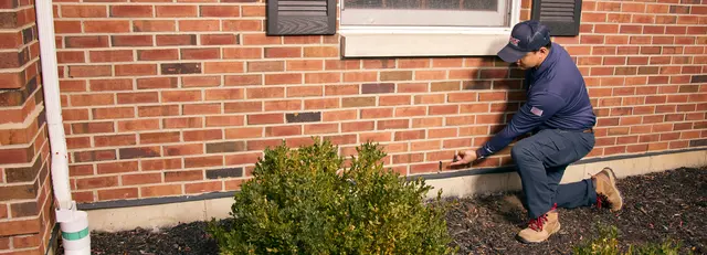 Rose Pest Solutions — photo from the business 4