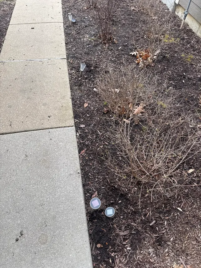 Pointe Pest Control — customer photo 4