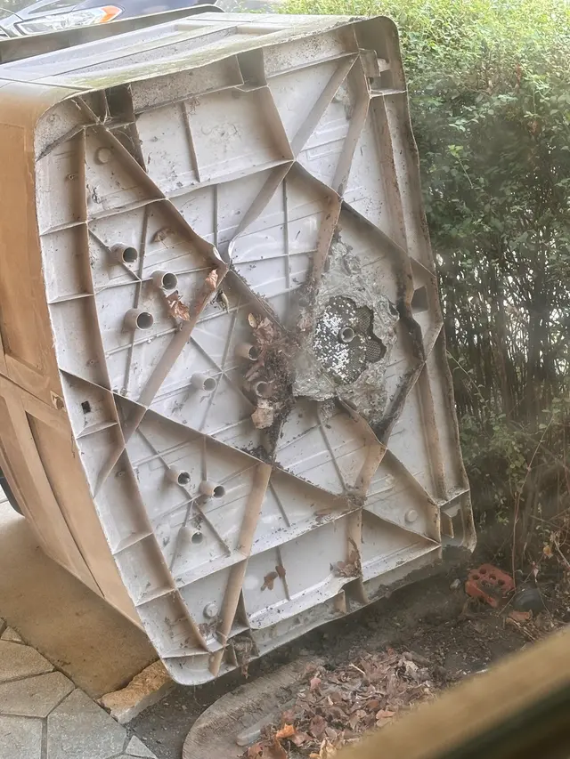 Quick Kill Exterminating Co — customer photo 6