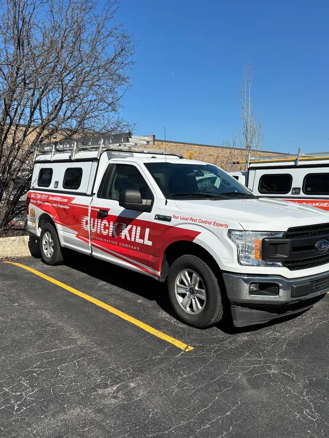 Quick Kill Exterminating Co — photo from the business 2