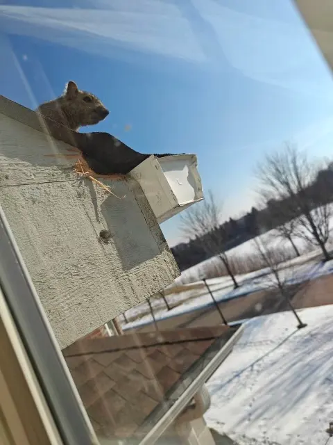 Quick Kill Exterminating Co — photo from the business 7