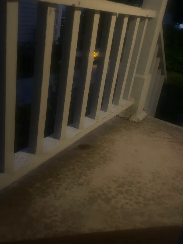 Pest Arrest - Arlington Heights — customer photo 12