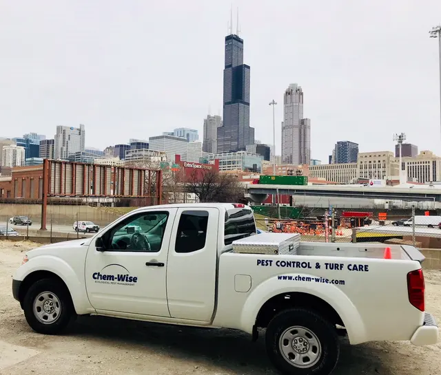 Chem-Wise Pest Management — photo from the business 5
