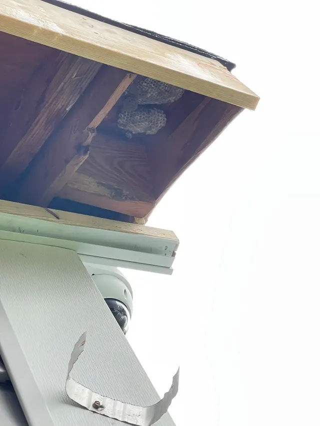 Chem-Wise Pest Management — customer photo 4