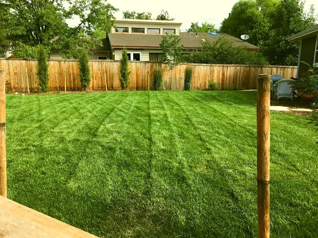 Kaizen Lawn and Home — photo from the business 9
