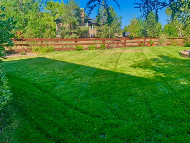 Kaizen Lawn and Home — photo from the business 10