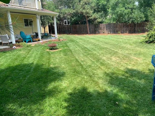 Kaizen Lawn and Home — photo from the business 12