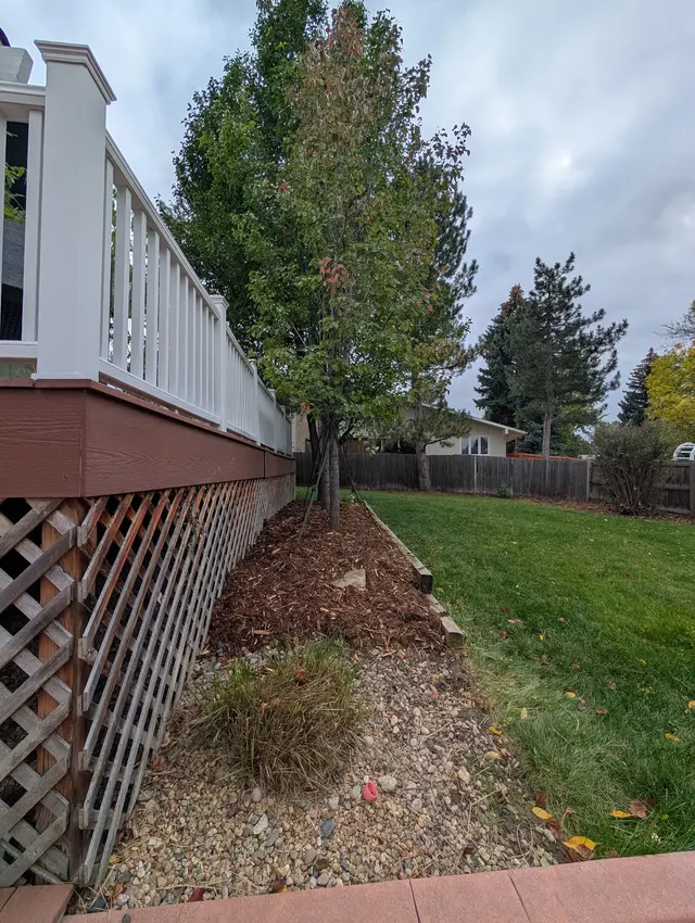 Customer photo from Todd's review
