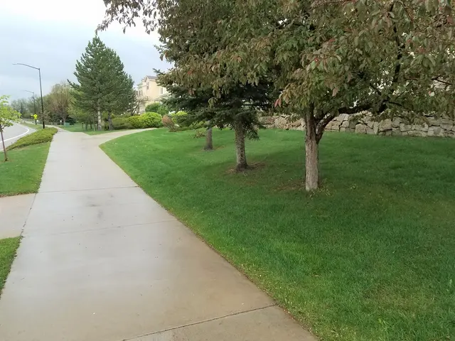 Organo-Lawn of Boulder — photo from the business 9