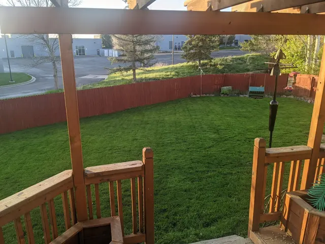 Organo-Lawn of Boulder — customer photo 11