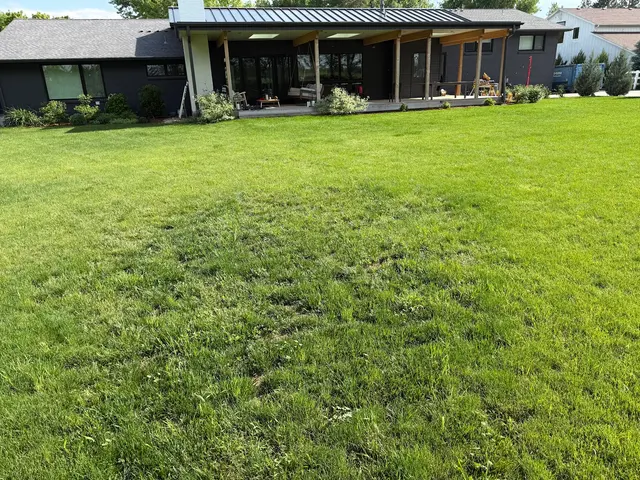 Organo-Lawn of Boulder — customer photo 7