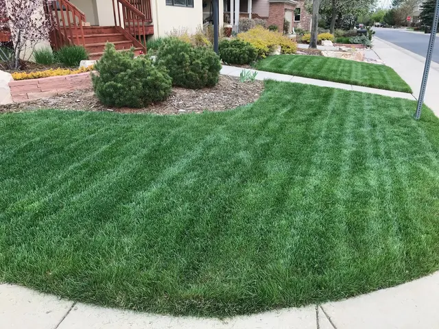 Organo-Lawn of Boulder — customer photo 2