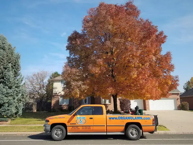 Organo-Lawn of Boulder — photo from the business 5