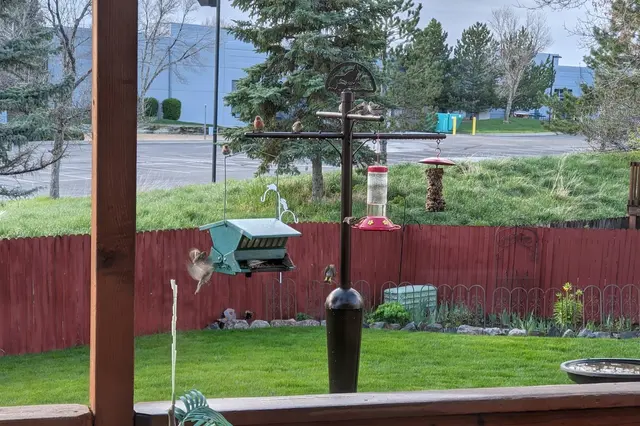 Organo-Lawn of Boulder — customer photo 12