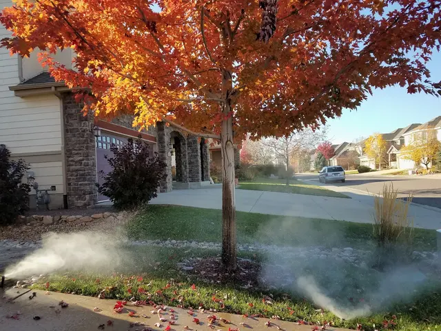 Organo-Lawn of Boulder — photo from the business 4