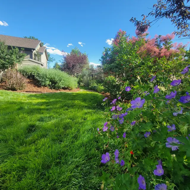 Native Sun Landscaping, LLC — photo from the business 5