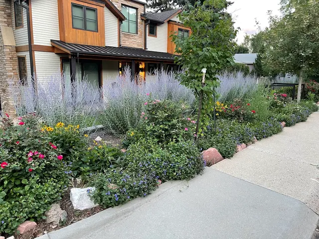 Native Sun Landscaping, LLC — photo from the business 4