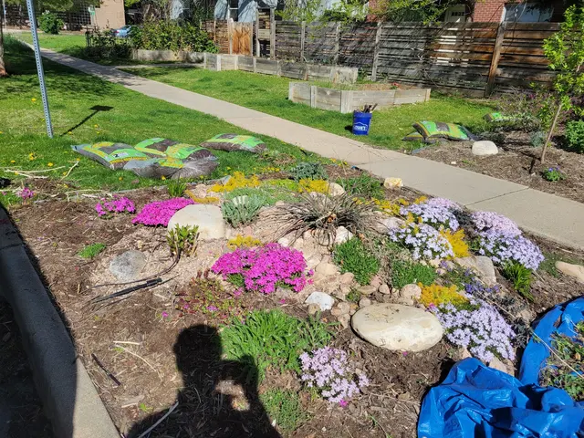 Native Sun Landscaping, LLC — photo from the business 9