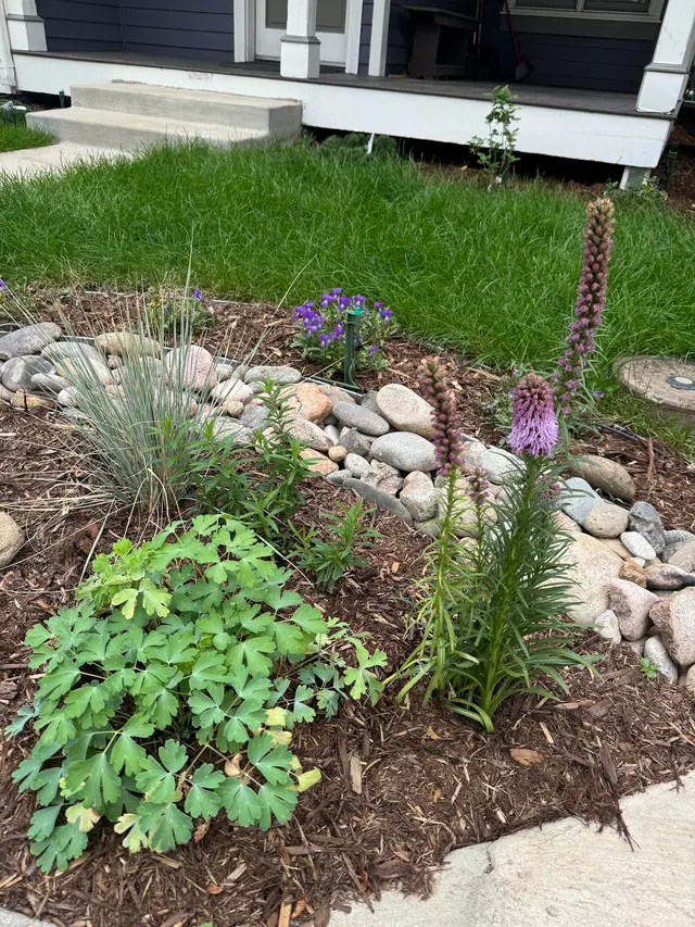 The Magic Beans Landscaping — photo from the business 10