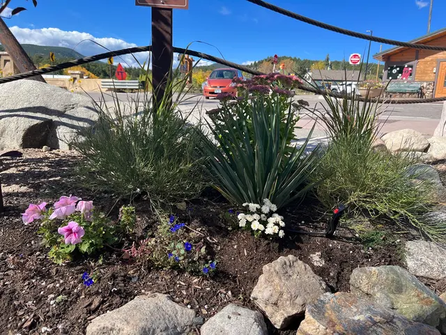 The Magic Beans Landscaping — photo from the business 12
