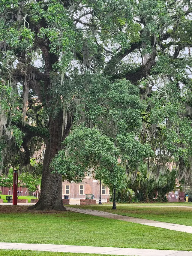 Florida State University Visitor Center — customer photo 7