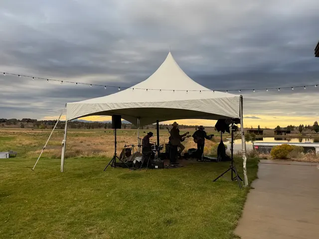 541 Bounce — photo from the business 7
