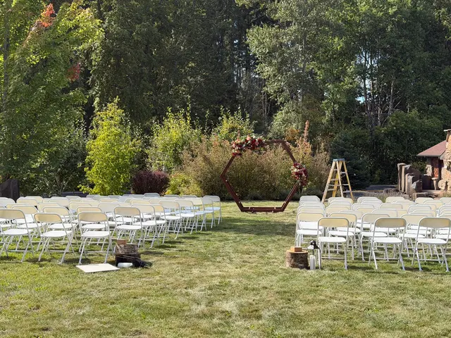 541 Bounce — photo from the business 8