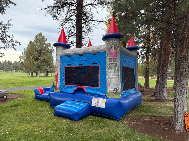 541 Bounce — photo from the business 2