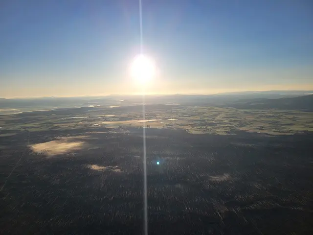 Customer photo of work by Big Sky Balloon Company, from Carissa West's review