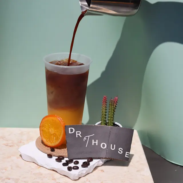 Dr. T House — photo from the business 8