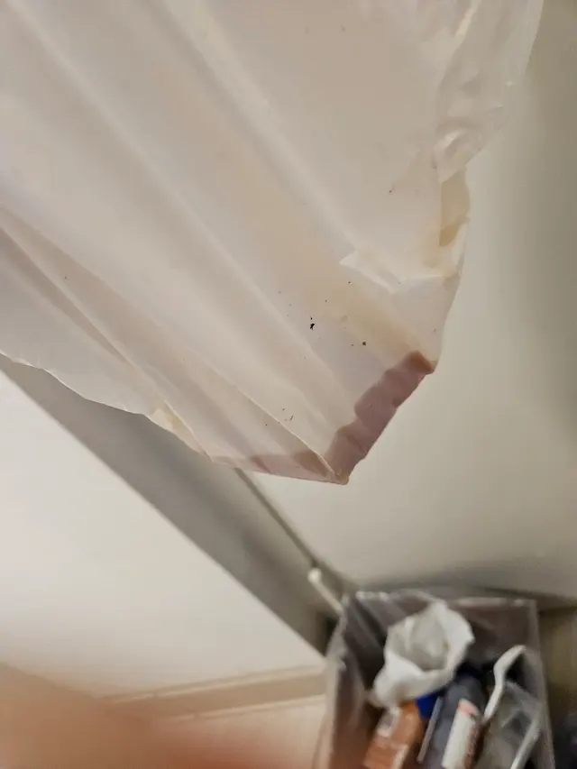 Just Boba Tea House — customer photo 8