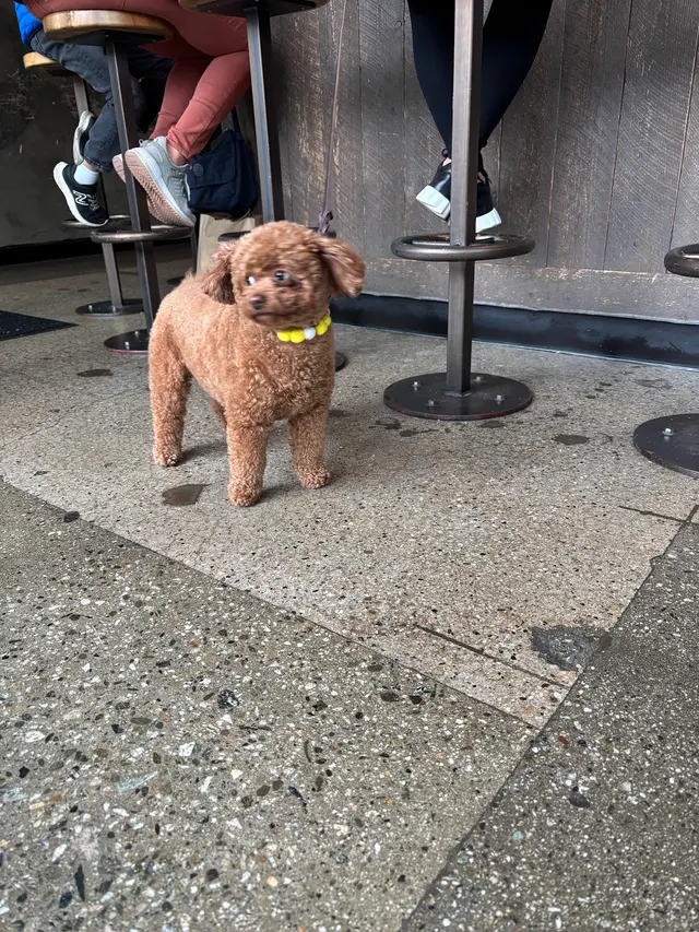 Just Boba Tea House — customer photo 7