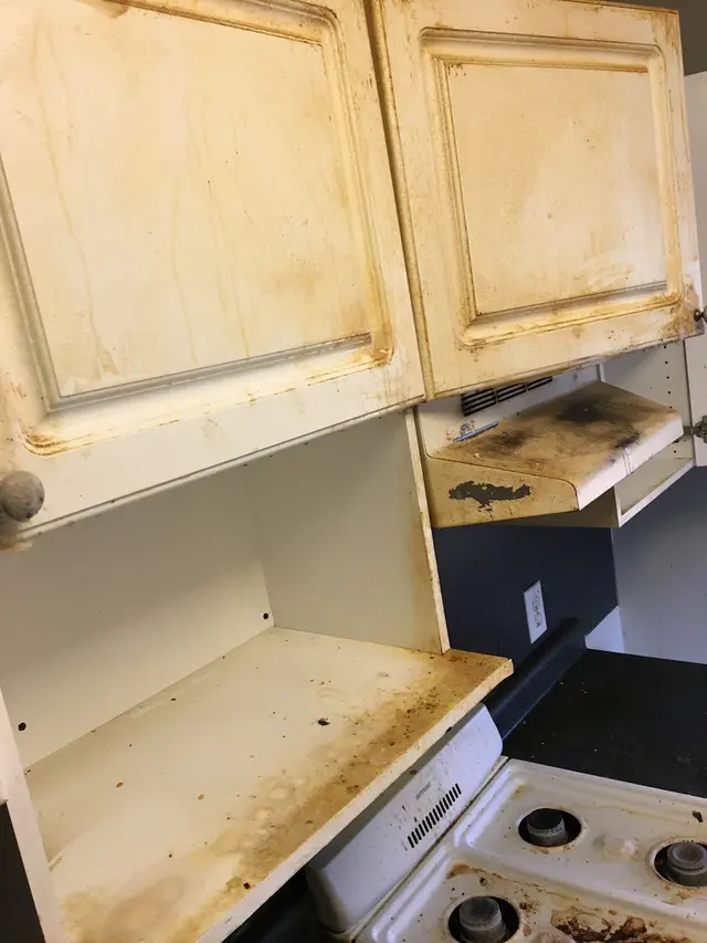 NaturallyNeat Cleaning Services — photo from the business 4