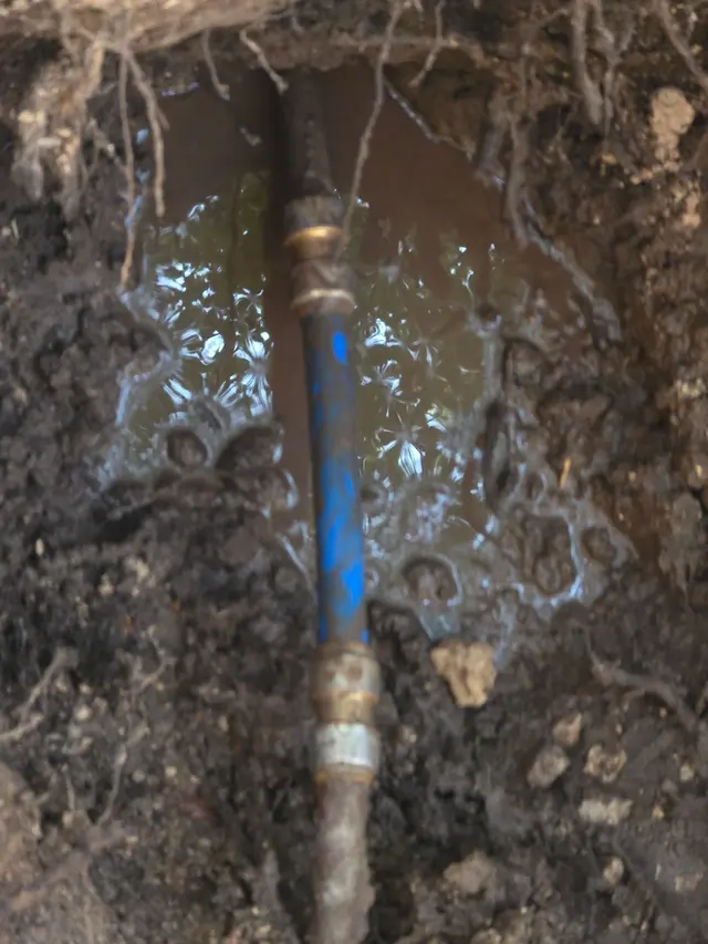 Customer photo from Larry's review