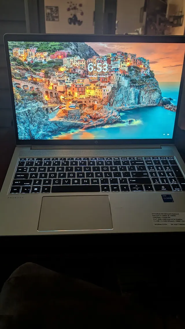 Customer photo of work by Indy Laptops, from Patrick Mazelin's review