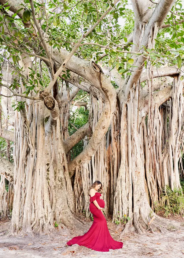 Abasiliophotography — photo from the business 3