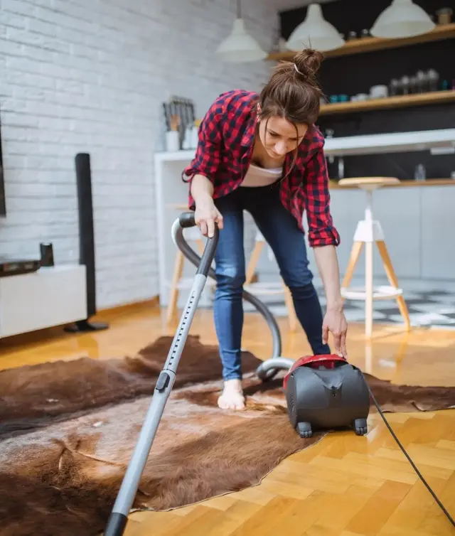 Hometress Cleaning Service — photo from the business 6