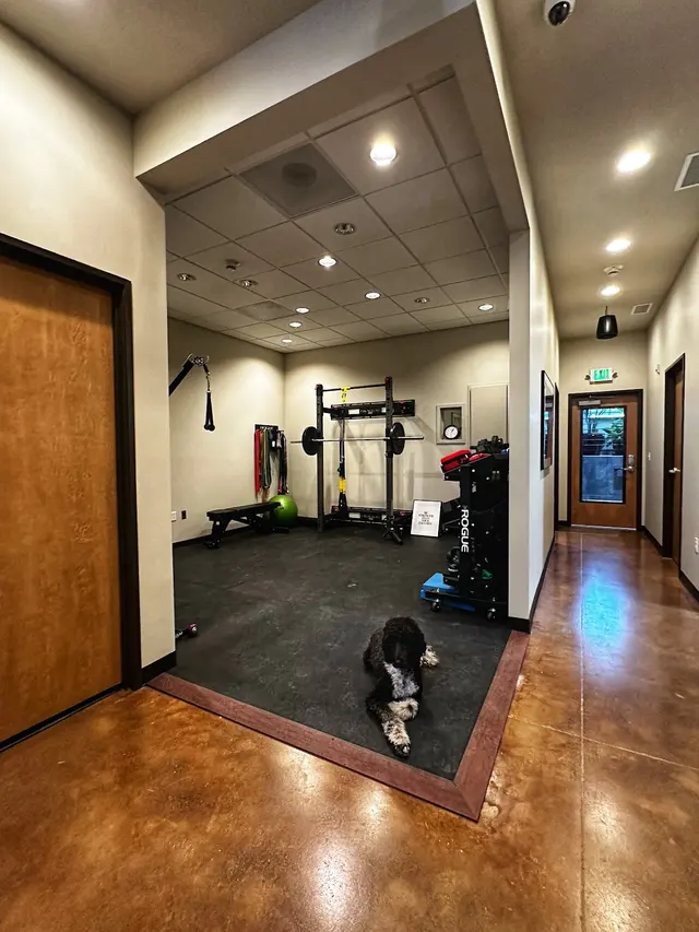 Function Performance Sport Chiropractic — photo from the business 2