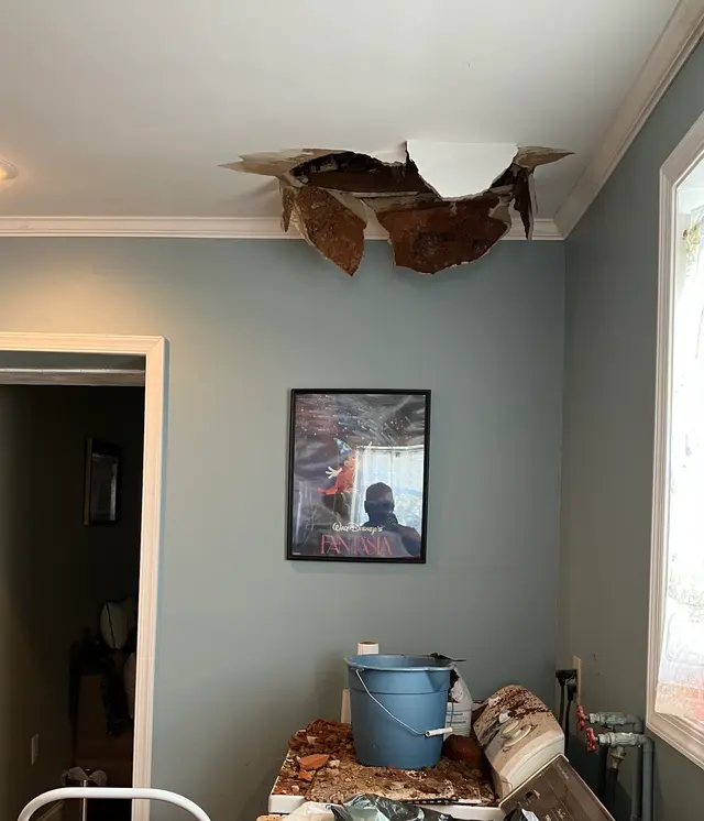 Customer photo from Thomas's review