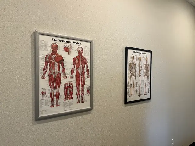 Accident Care Chiropractic — photo from the business 6