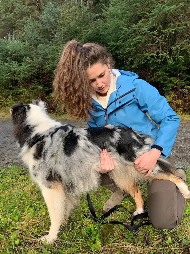 Cloudberry Lane Animal Chiropractic — photo from the business 1