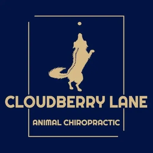 Cloudberry Lane Animal Chiropractic — photo from the business 7