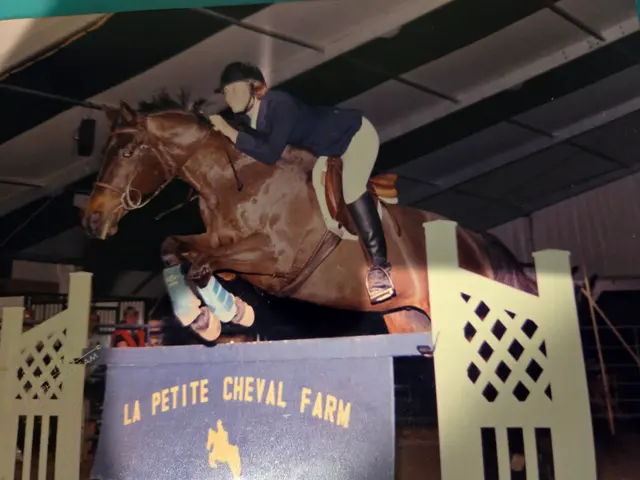 La Petite Cheval Farm — photo from the business 11