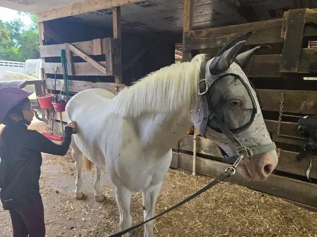 La Petite Cheval Farm — photo from the business 5